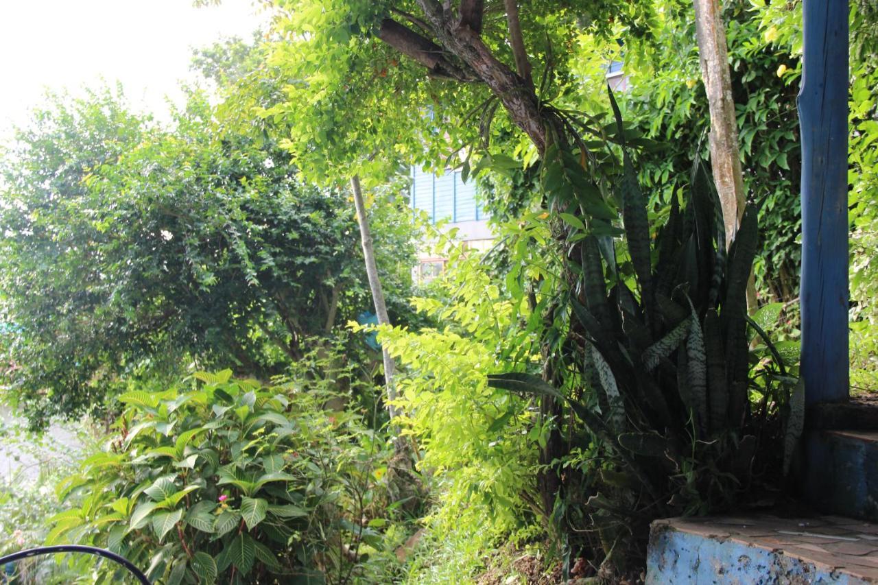 Nosso Lounge Hostel Florianopolis Exterior photo